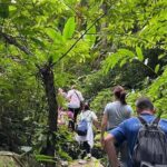 One Day Trekking Chiang Rai Jungle Adventure and Bamboo Cooking - Exploring the Itinerary: What to Expect
