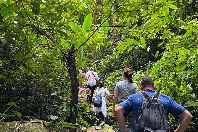 One Day Trekking Chiang Rai Jungle Adventure and Bamboo Cooking - Exploring the Itinerary: What to Expect