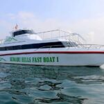 One Way Ticket Fast Boat from Sanur Bali and Nusa Penida - The Experience in Detail