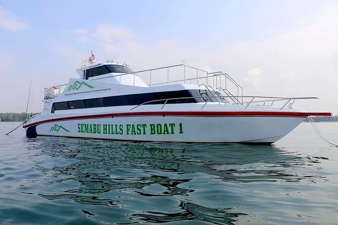 One Way Ticket Fast Boat from Sanur Bali and Nusa Penida - The Experience in Detail