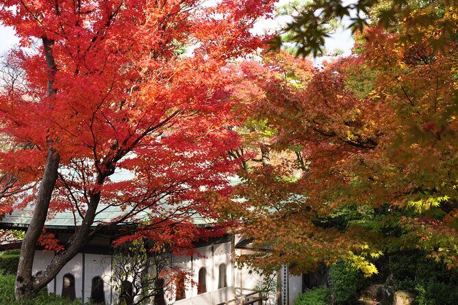 Onomichi and Kosanji 1 Day Private Tour - Who Should Consider This Tour?