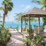 Oranjestad AUA Airport Transfer to Oranjestad/Noord/Cura Cabai - Who Is This Transfer Best For?