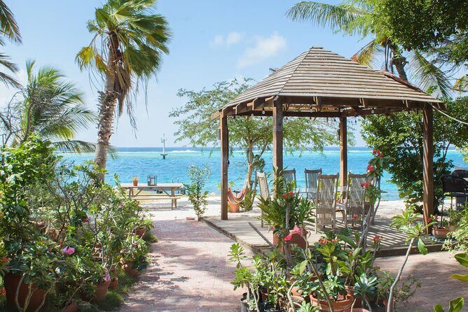 Oranjestad AUA Airport Transfer to Oranjestad/Noord/Cura Cabai - Who Is This Transfer Best For?