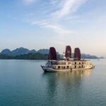 Orchid Trendy Cruise Halong Bay 2 Days/1 Night 5 Star Cruises - Who Is This Tour Best For?