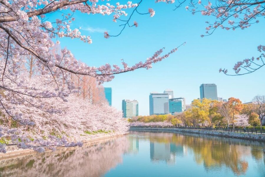 Osaka: 1-Day Private Customizable Trip by Car - Why the Private Car Experience Works