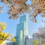 Osaka: Abeno Harukas 300 Observatory E-Ticket - Practical Tips for Visitors