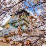 Osaka Castle & Temples Walk Tour + Multilingual Audio Guide - A Detailed Look at the Osaka Castle & Temples Walk Tour