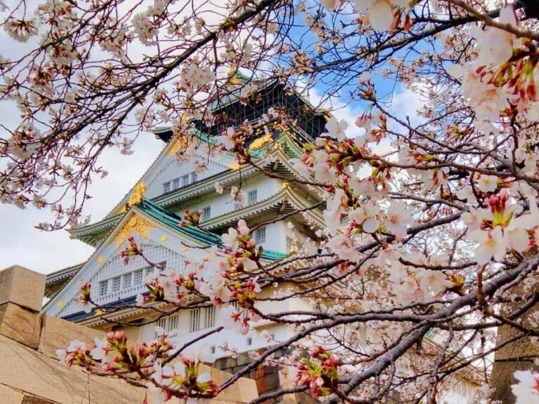 Osaka Castle & Temples Walk Tour + Multilingual Audio Guide - A Detailed Look at the Osaka Castle & Temples Walk Tour