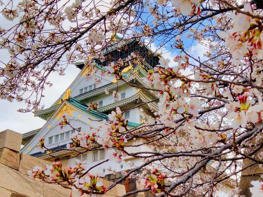 Osaka Castle & Temples Walk Tour + Multilingual Audio Guide - A Detailed Look at the Osaka Castle & Temples Walk Tour