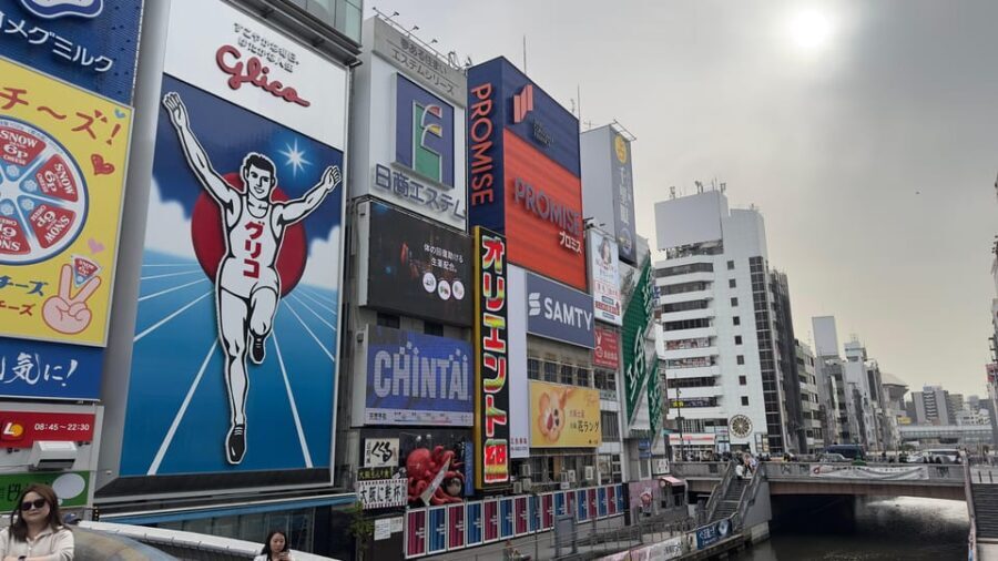 Osaka City Highlights One Day Private Tour - Final Thoughts
