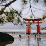 Osaka Departure: Hiroshima World Heritage Classic Day Trip - What Makes This Tour Stand Out