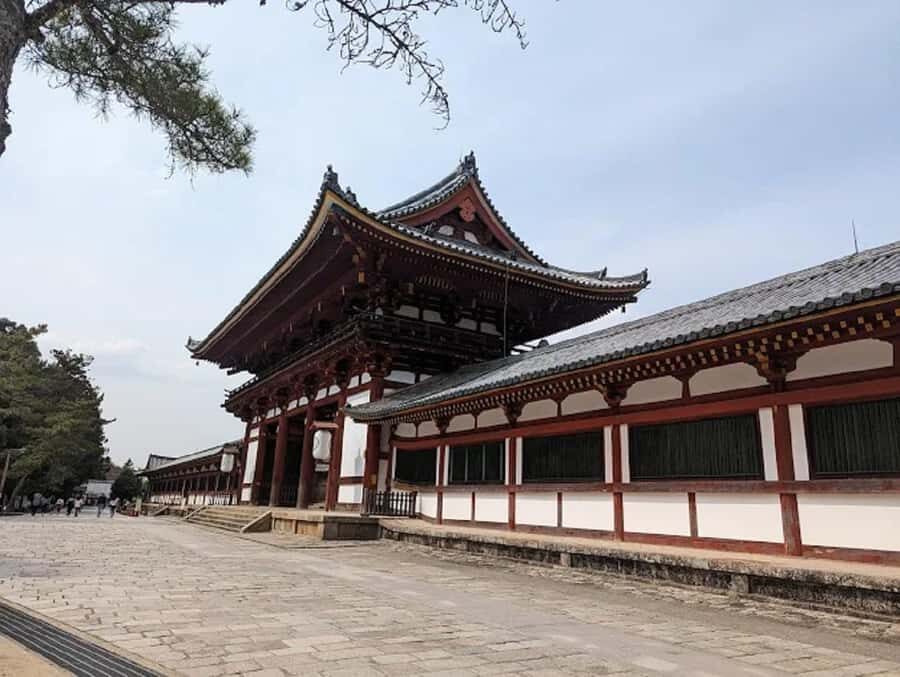 Osaka: Discovering Nara Timeless Grace Guided Tour - Nara Park and Roaming Deer: A Gentle Encounter