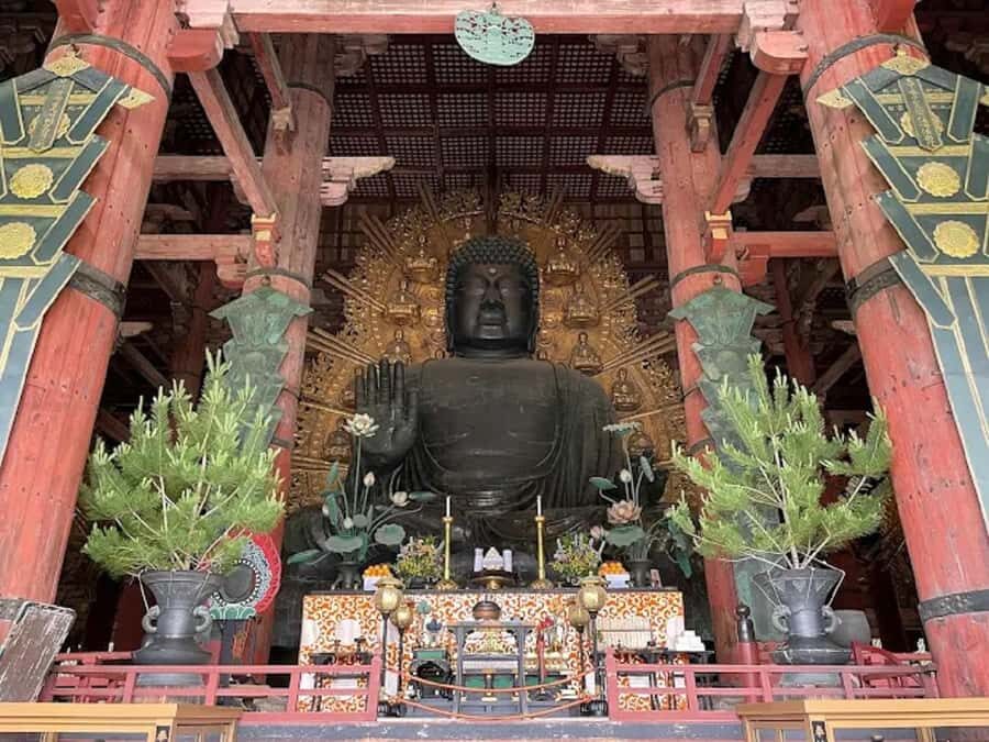 Osaka: Discovering Nara Timeless Grace Guided Tour - Detailed Breakdown of the Itinerary
