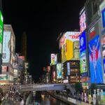 Osaka Food Hopping Tour by Local Japanese Tour Guide - The Tour’s Itinerary Breakdown