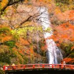 Osaka: Half Day Cup Noodles Museum & Minoh Park Guided Tour - The Itinerary in Detail