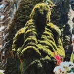 Osaka Highlight Tour: 3-Hour Walking Tour of Osaka - What the Tour Means for You