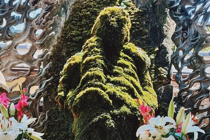 Osaka Highlight Tour: 3-Hour Walking Tour of Osaka - Who Should Consider This Tour?