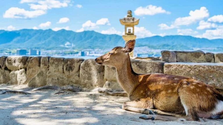 Osaka/Hiroshima Dep: Hiroshima Miyajima LandmarksUNESCO Tour - Who Would Love This Tour?