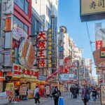 Osaka: Iconic Landmarks and Culinary Gems Private Tour - The Buzz of Dotonbori and Iconic Street Food