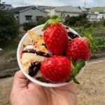 Osaka Izumisano : All You Can Eat Strawberry Picking - Getting to the Farm: Location and Transportation