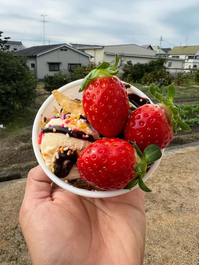 Osaka Izumisano : All You Can Eat Strawberry Picking - Getting to the Farm: Location and Transportation