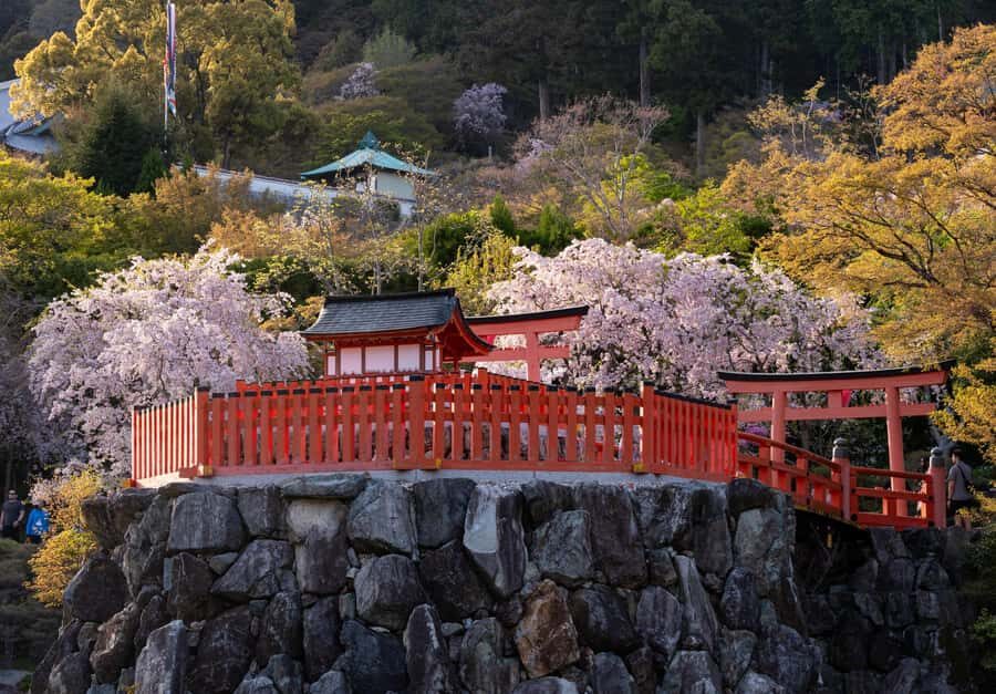 Osaka: Katsuoji Temple Guided Tour with Bus Transfer - The Value of the Tour
