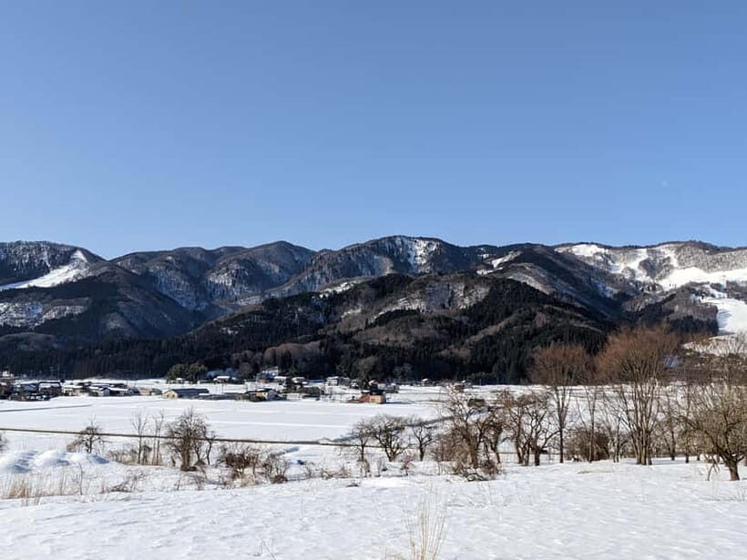 Osaka: Kinosaki Hot Springs and Temple Tour with Meals - Visiting Ankokuji Temple: The Dodan Tsutsuji Experience