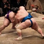 Osaka: Kobe Sumo Jungyo Tournament Day Trip on Mar 31th 2026 - Final Thoughts