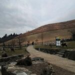 Osaka/Kyoto: 710 Day Nature & Adventure Tour - Who Is This Tour Best For?