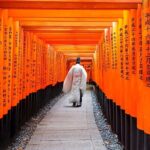 Osaka/Kyoto: Arashiyama, Fushimi Inari & Nara Park Day Trip - Final Thoughts: Who Will Love This Tour?