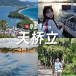 Osaka/Kyoto: Ine Bay & Amanohashidate Private Day Trip - Itinerary Breakdown