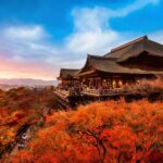 Osaka: Kyoto & Nara Park Deer Sighting Tour /w Hotel Pickup - Who Will Love This Tour?