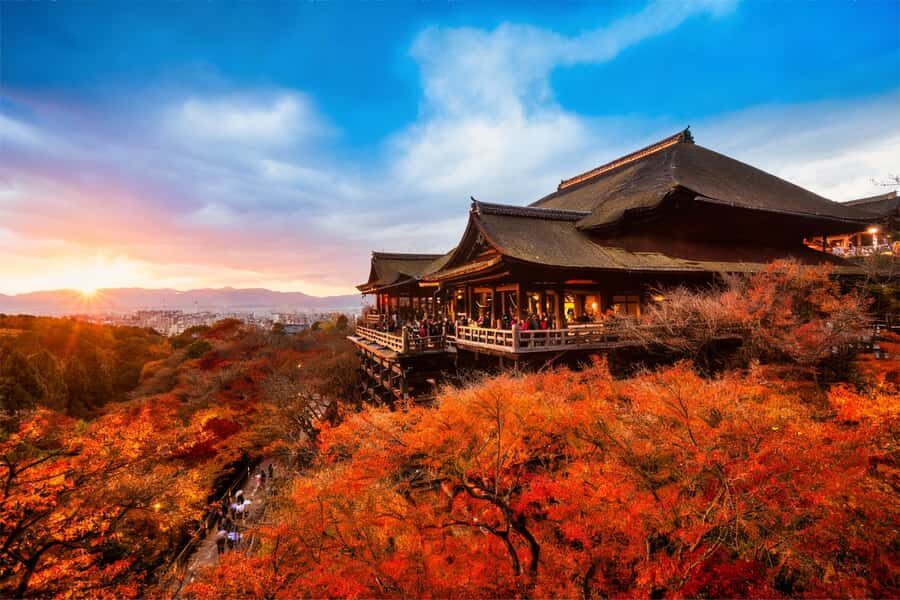 Osaka: Kyoto & Nara Park Deer Sighting Tour /w Hotel Pickup - Who Will Love This Tour?