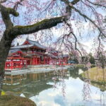 Osaka: Kyoto & Nara & Uji Historical and Scenic One-Day Tour - Transportation, Schedule, and Group Experience
