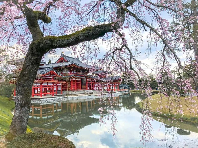 Osaka: Kyoto & Nara & Uji Historical and Scenic One-Day Tour - Transportation, Schedule, and Group Experience