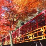 Osaka: Kyoto Private Day Tour with Sagano Scenic Railway - Why This Tour Stands Out