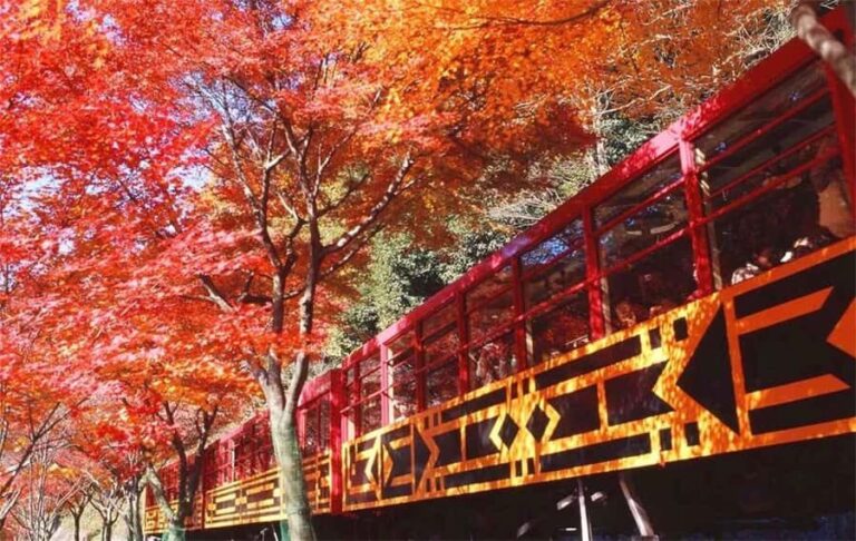 Osaka: Kyoto Private Day Tour with Sagano Scenic Railway - Why This Tour Stands Out