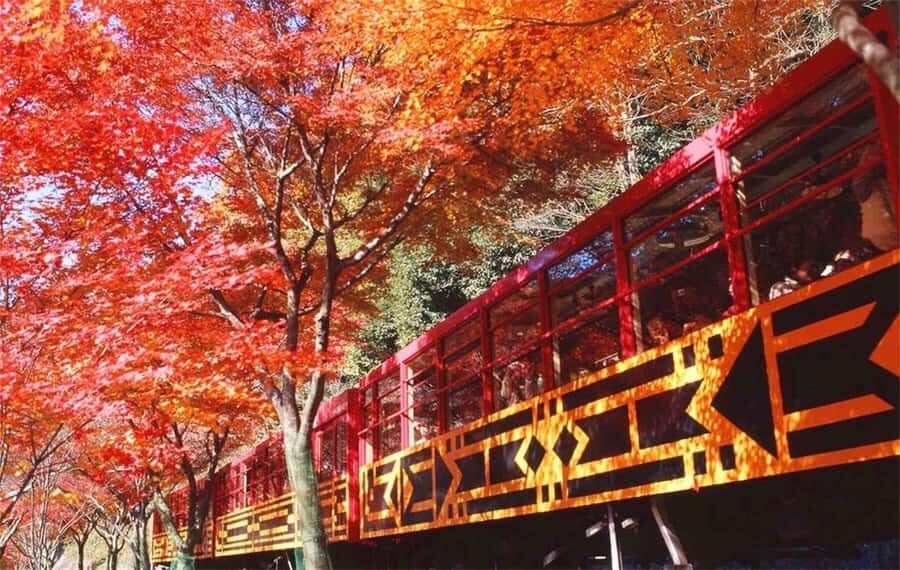 Osaka: Kyoto Private Day Tour with Sagano Scenic Railway - Why This Tour Stands Out