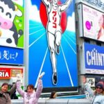 Osaka: Must-See Spots & Hidden Gems 3-Hour Walking Tour - What to Expect and Practical Tips