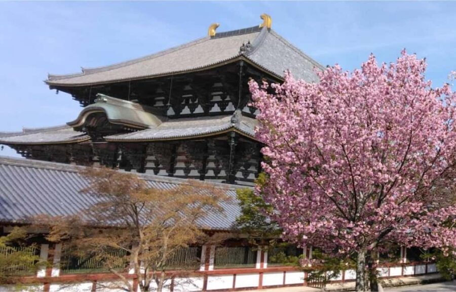 Osaka: Nara and Uji Day Trip with Deer Park and Hot Spring - Transportation and Logistics