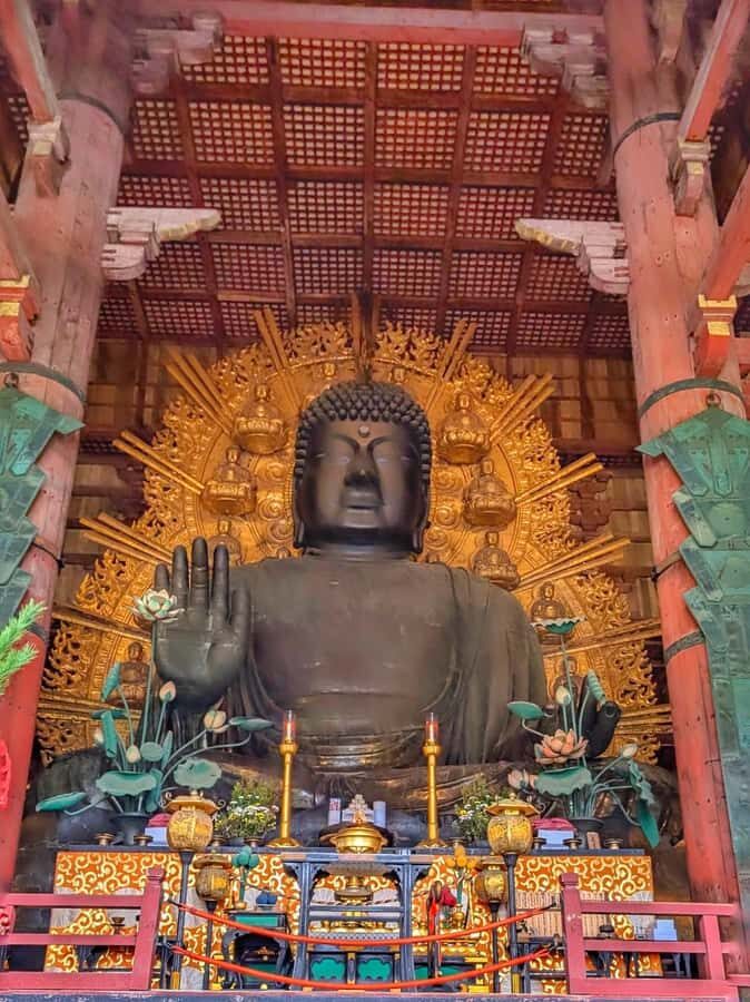 Osaka Nara & katsuo-ji: private Guided tour with Transport - What to Expect from the Tour