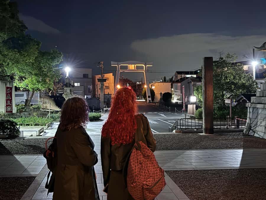 Osaka: Night view and Jinjya tour - Detailed Breakdown of the Itinerary