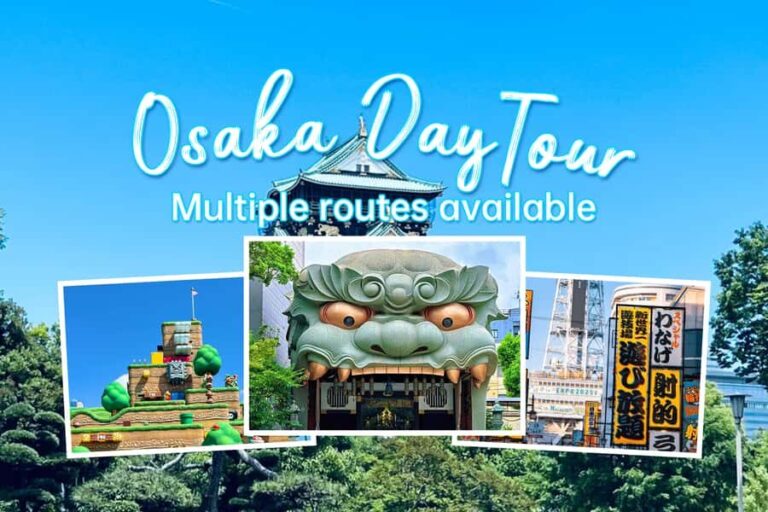 Osaka Private Customizable Sightseeing Tour with Chauffeur - The Value of a Private Customizable Day in Osaka