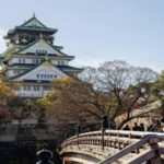 Osaka: Private Guided Tour with Customizable Itinerary - Why Choose This Tour?