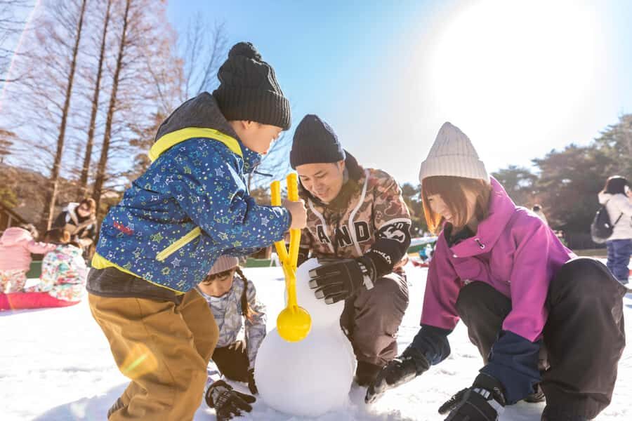 Osaka: Rokko Snow Park Winter Ski Day Tour optional lesson - What Makes This Tour Stand Out