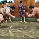 Osaka: Sumo Wrestling Real Practice Viewing Guided Tour - An in-depth look at the Osaka Sumo Practice Tour
