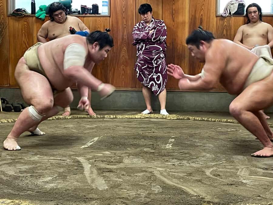 Osaka: Sumo Wrestling Real Practice Viewing Guided Tour - An in-depth look at the Osaka Sumo Practice Tour
