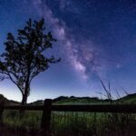 Osaka: Takeda Castle Ruins and Kobe One-Day Tour - Starting Point: Umeda Station