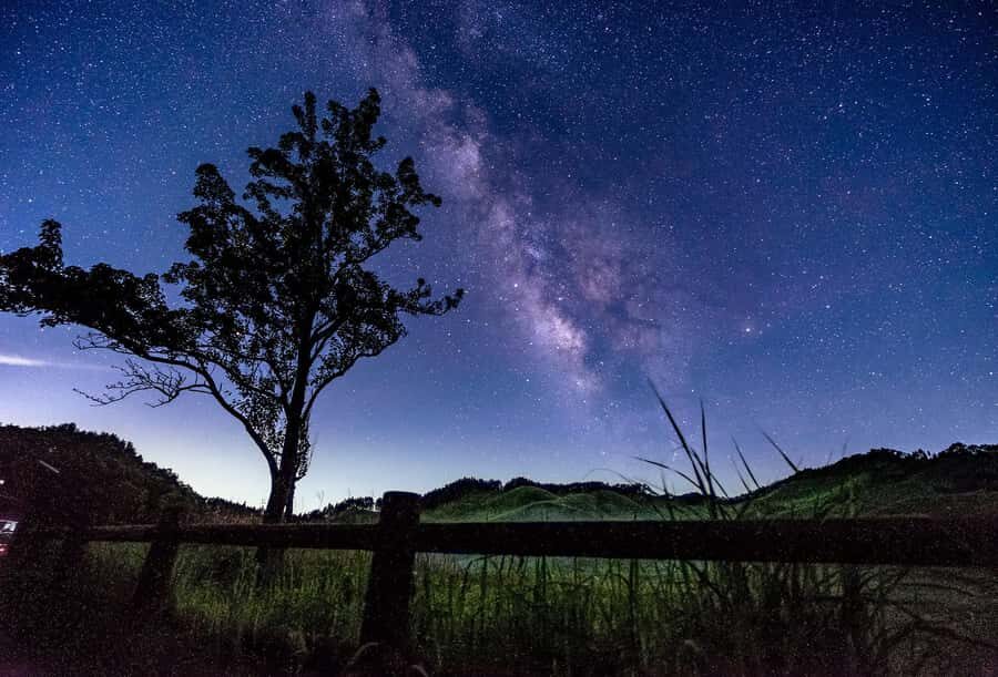 Osaka: Takeda Castle Ruins and Kobe One-Day Tour - Starting Point: Umeda Station