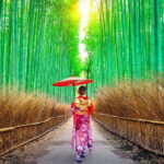 Osaka to Kyoto: Arashiyama Bamboo Grove Small Group Tour - Detailed Breakdown of the Tour Experience
